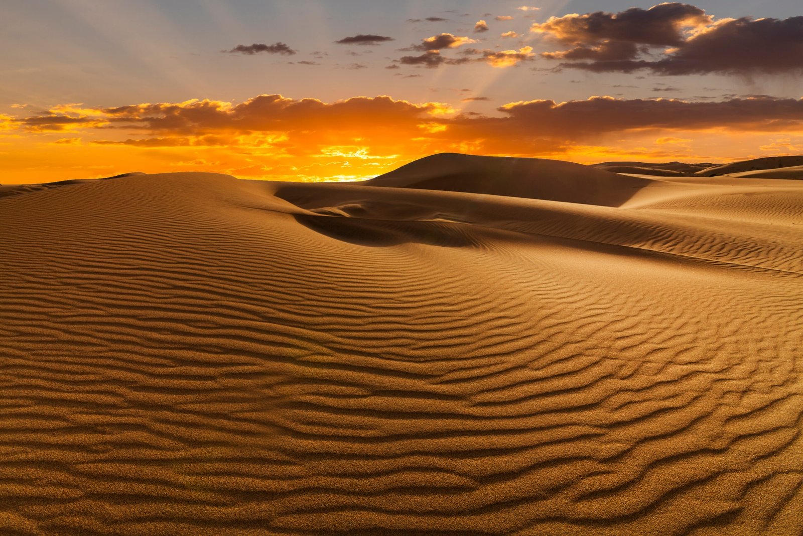 Sunset,Over,The,Sand,Dunes,In,The,Desert.,Arid,Landscape Sunset,Over,The,Sand,Dunes,In,The,Desert.,Arid,Landscape